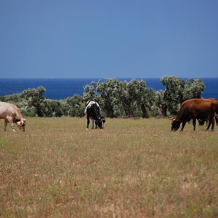Masseria Palombara Grande Остуні Екстер'єр фото