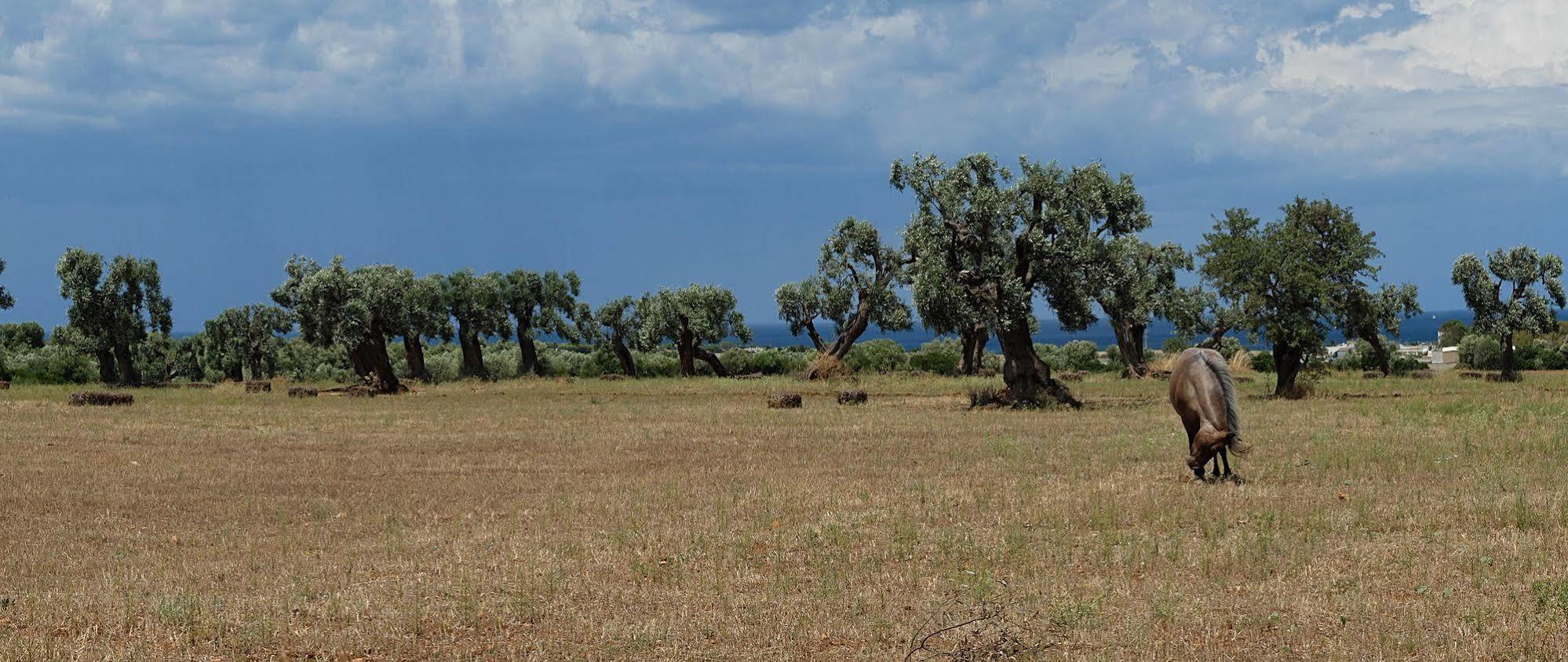 Masseria Palombara Grande Остуні Екстер'єр фото